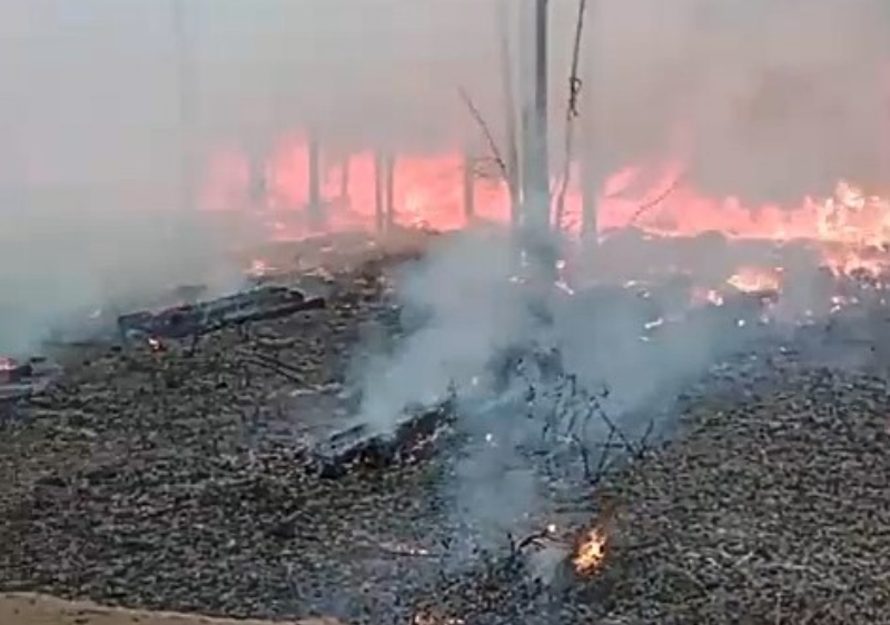 incendioarroio22