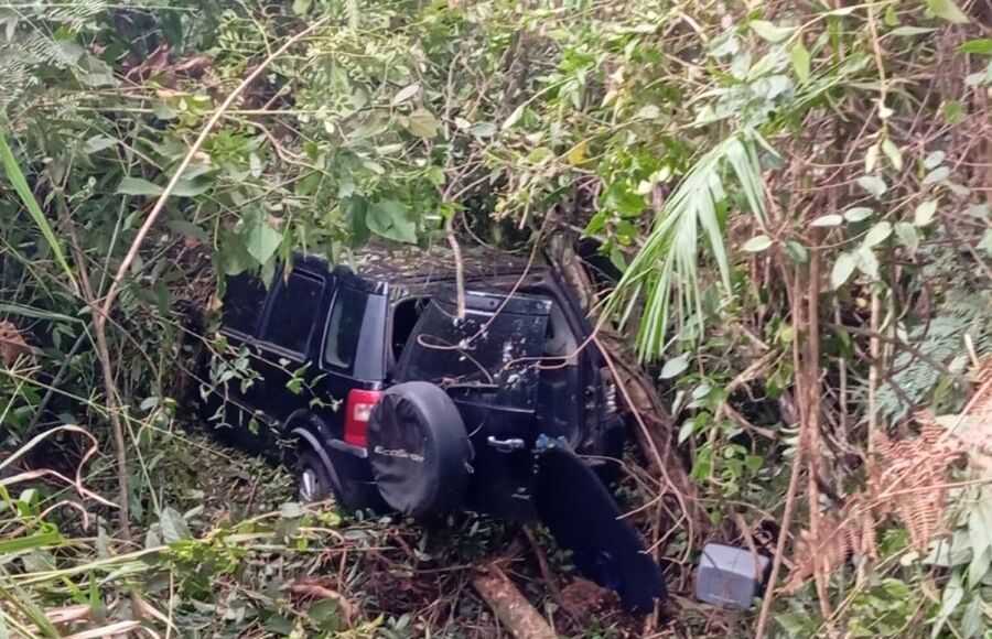automovel-cai-em-mata-dia-14 (1)